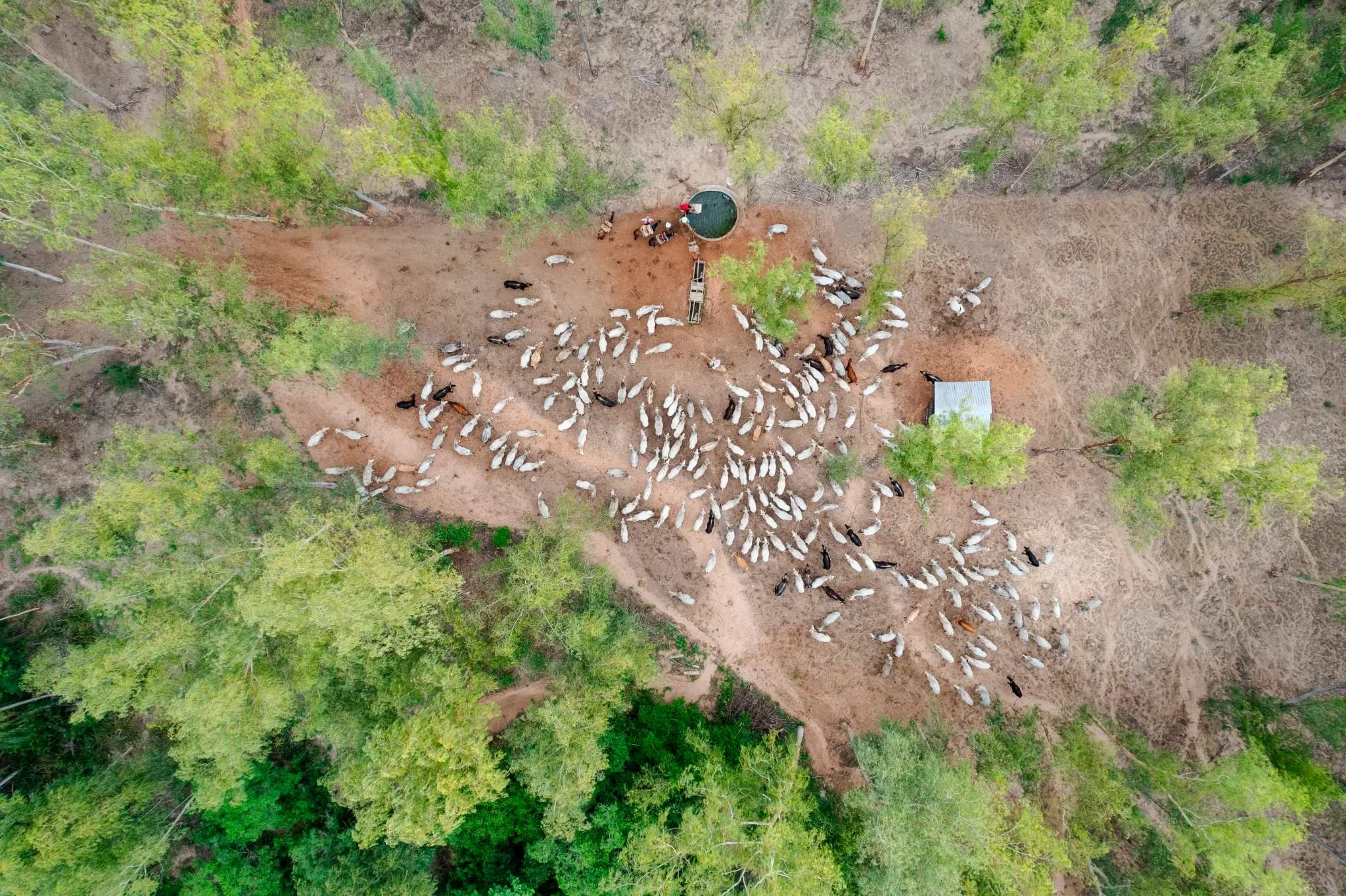 Forestal Rio Aquidabán